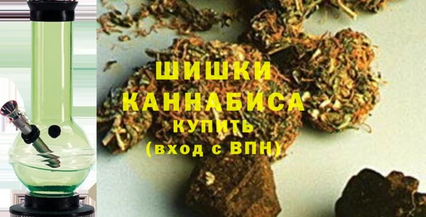 шишки Абаза